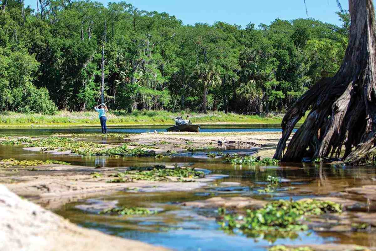 Fun, Fishing and More at Florida's Fisheating Creek