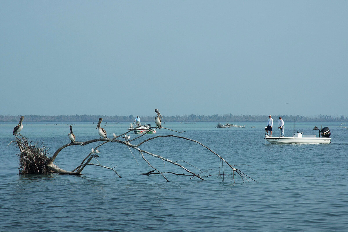 Fishing the Tides: How Tides Affect Fishing in Bays, Inlets & Rivers 