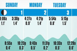 Keys Forecast